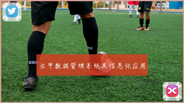 法甲数据管理系统及信息化应用