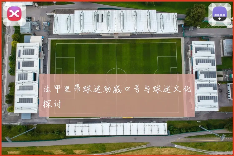 法甲里昂球迷助威口号与球迷文化探讨