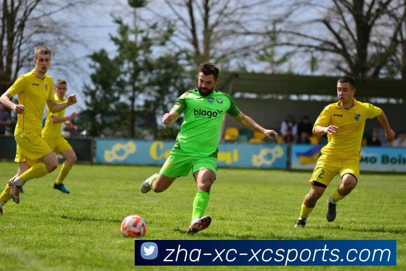 杏彩体育APP 封面图